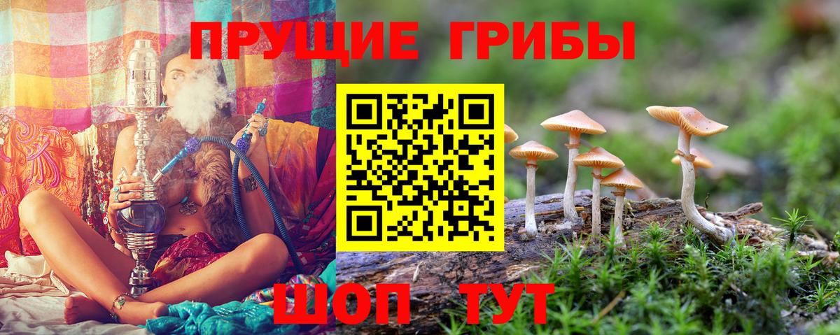 Псилоцибиновые грибы Psilocybine cubensis  Вход с VPN  Ейск 