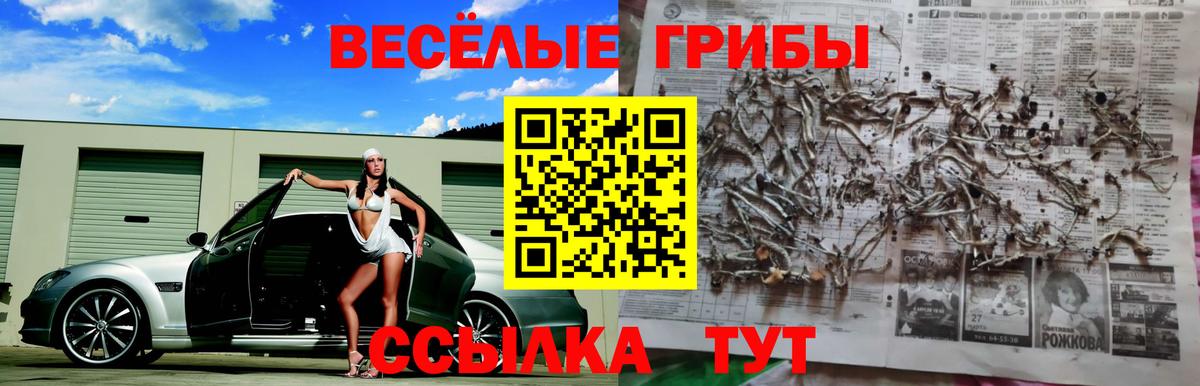 Псилоцибиновые грибы Magic Shrooms Ейск